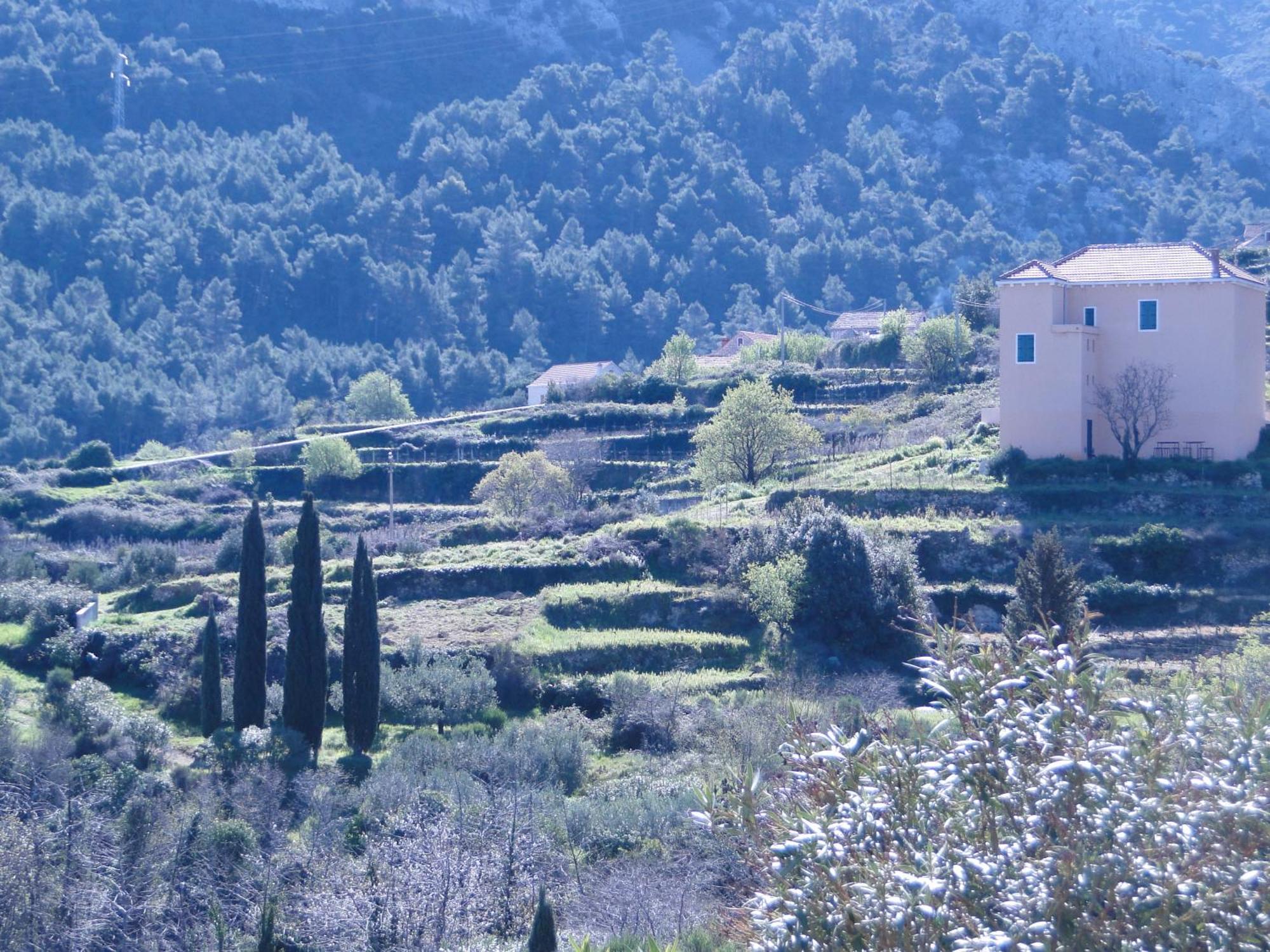 Heritage Apartments Kyra & Fox In Pitve, Hvar מראה חיצוני תמונה